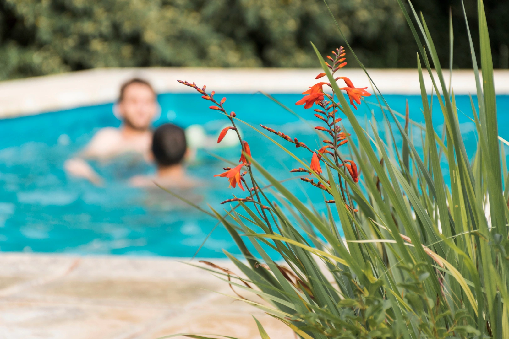 Séjourner dans une résidence avec piscine pour vos vacances en Corse